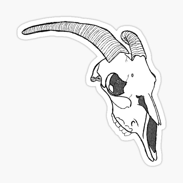 Goat Skull Sticker