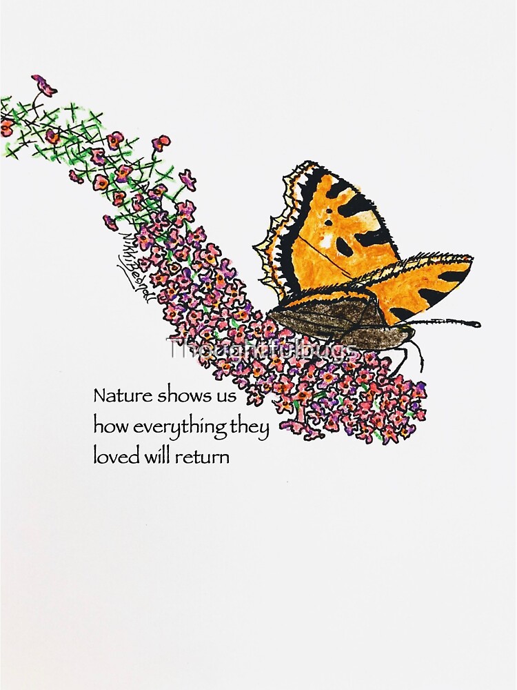 Butterfly in Nature by Thoughtfulbugs