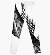 Dive Fish Leggings