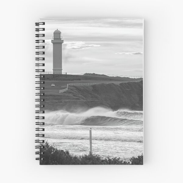 Item preview, A Gull Moment designed and sold by WollongongBeach.
