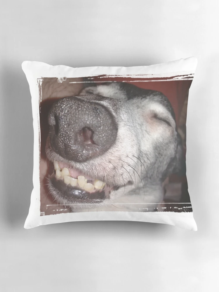 Aperçu 3 sur 4. Coussin avec l'œuvre SOURIRE créée et vendue par CWCards2013.