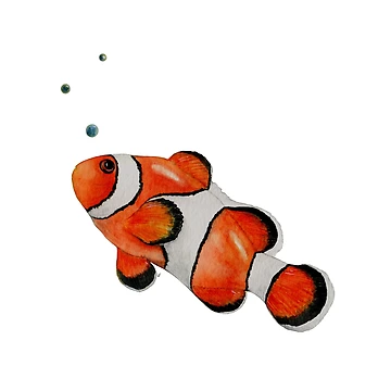 Artwork thumbnail, Clown fish by ColorSplendor