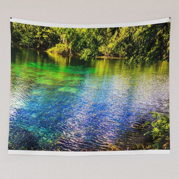 Item preview, Silver Springs, Florida designed and sold by Ducky988.