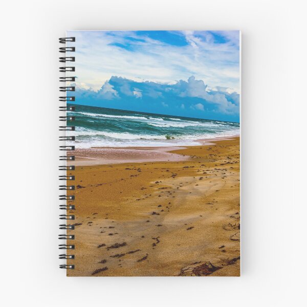 Item preview, Flagler Beach, Florida designed and sold by Ducky988.