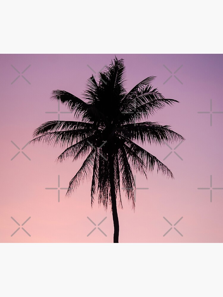 Trippy Palm Tree Pink Sunset Poster For Sale By Photogrill Redbubble