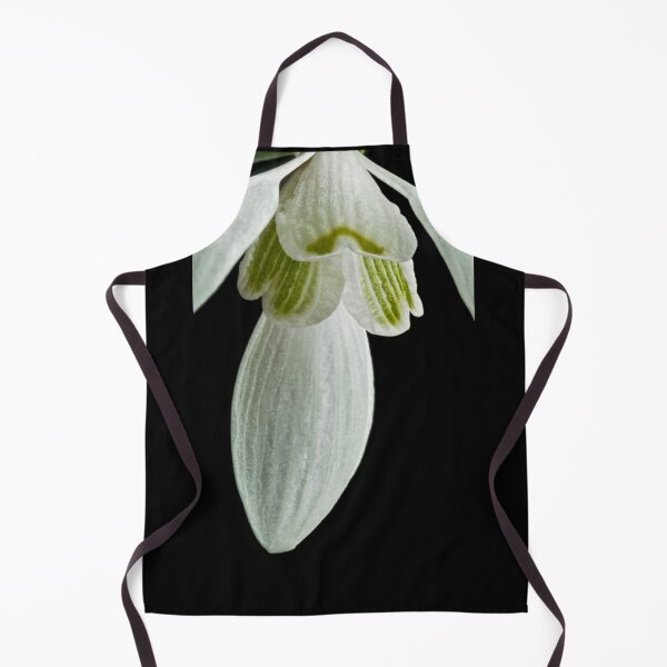 Item preview, Anatomy of a Snowdrop designed and sold by John Dewar.