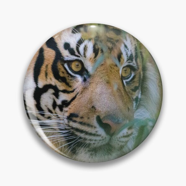 Item preview, Tiger looking for it's next meal designed and sold by GhostKidd02.