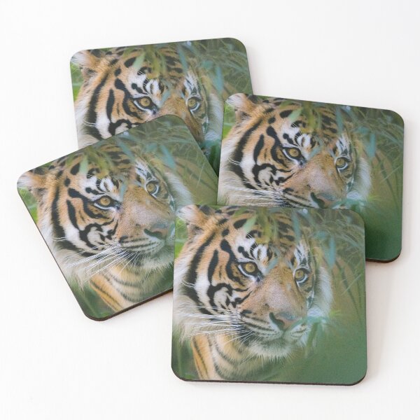 Item preview, Tiger looking for it's next meal designed and sold by GhostKidd02.