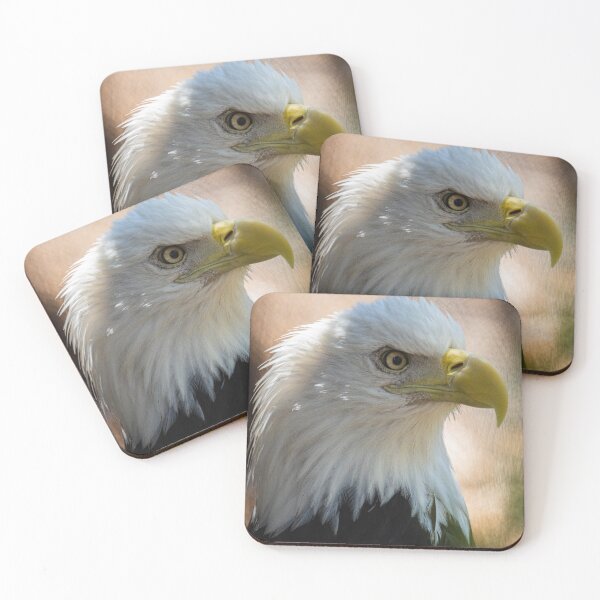 Item preview, Eagle on the hunt designed and sold by GhostKidd02.