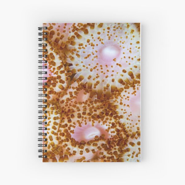 The Anemone Collection - brown Spiral Notebook
