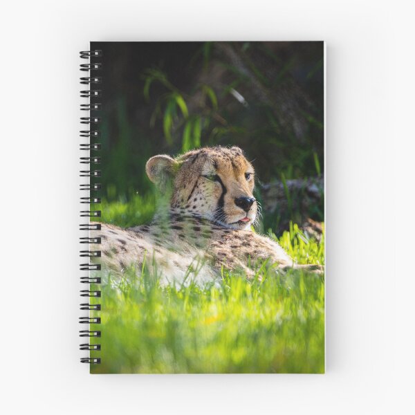 Item preview, Cheetah taking a break  designed and sold by GhostKidd02.