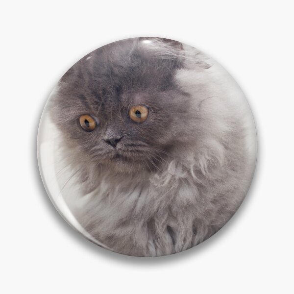 Item preview, Kitten in a sink designed and sold by AmbientEye.