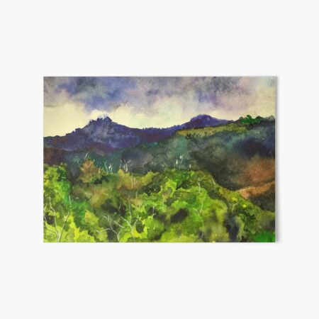 Cockies over Kerry Valley Art Board Print