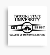 Theed University, Naboo (Star Wars) Metal Print
