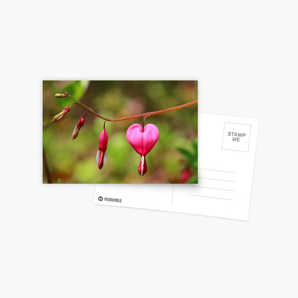 Item preview, Bleeding Heart designed and sold by Dalmatinka.