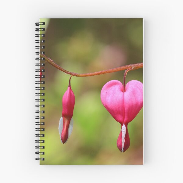 Item preview, Bleeding Heart designed and sold by Dalmatinka.