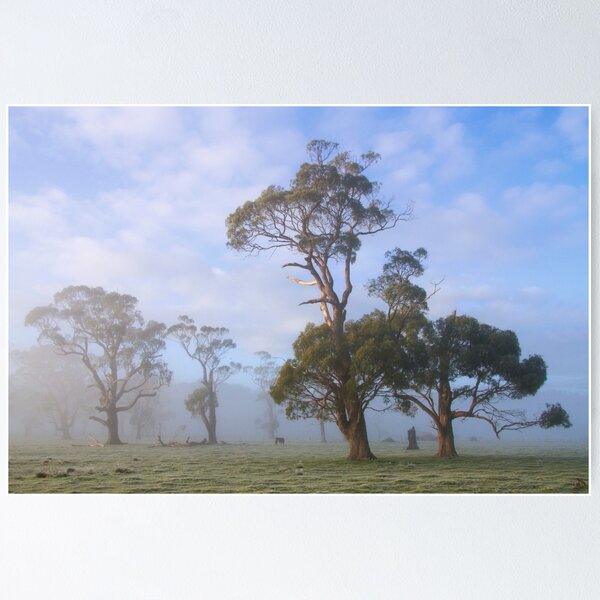 Item preview, ~ Gums in the Mist ~ designed and sold by Leeo.