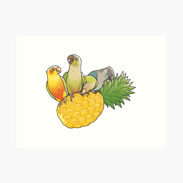 Green Cheek Paradise Art Print