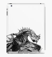 Paarthurnax, Skyrim, Elderscrolls, Fantasy Art, Video Games iPad Case/Skin