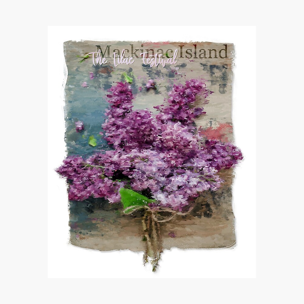 Lilac Festival MI Horse Carriage in Mackinac Island Animal Postcard Michigan 