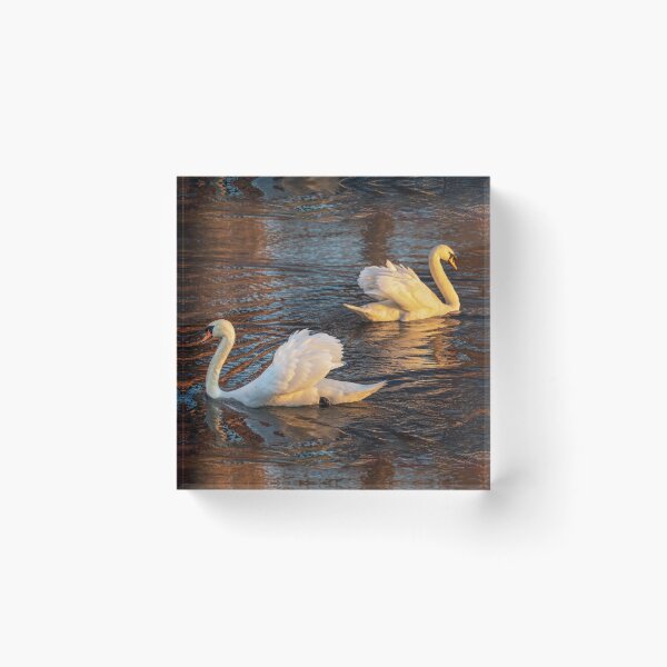 Item preview, Waving Bookend Swans designed and sold by Owed To Nature.