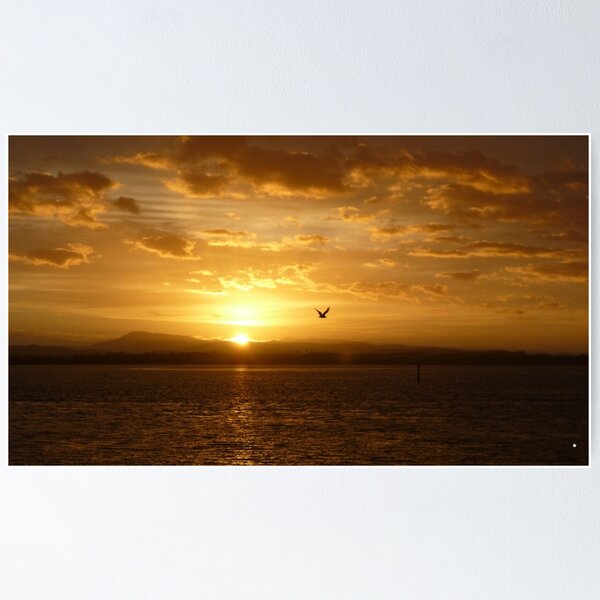Item preview, **Sun Rise Inspection Head*  designed and sold by varmifsud.