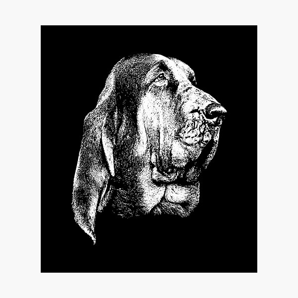 Item preview, Bloodhound Dog Breed Sar Search And Rescue Canine K-9 Unit designed and sold by zerniakcor.
