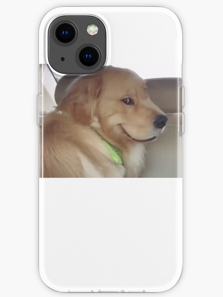 dog toothpaste reddit