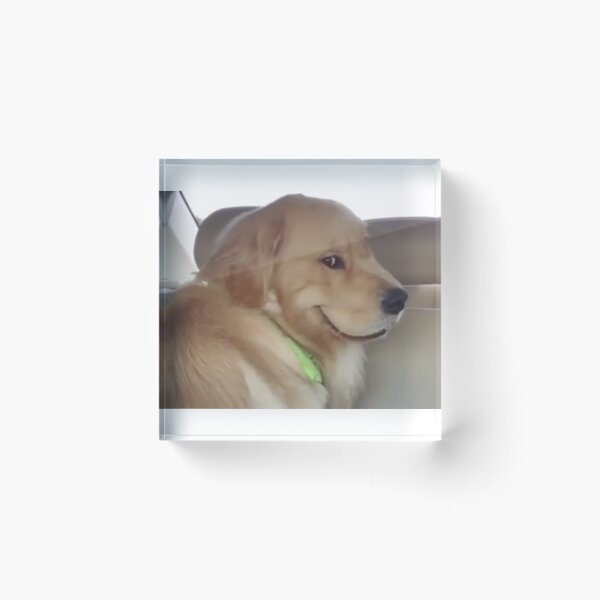 Artikelvorschau, Böser lächelnder Hund im Auto Reddit Meme entworfen und verkauft von Alex Rowe.
