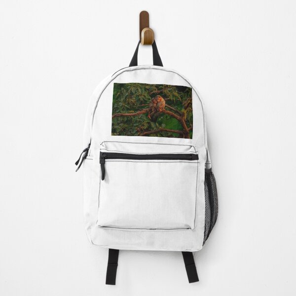 Item preview, _SSK2817 Afraid and Suspicious designed and sold by Sunil Kapadia.