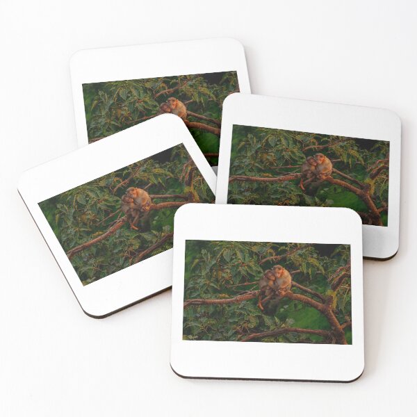 Item preview, _SSK2817 Afraid and Suspicious  designed and sold by Sunil Kapadia.