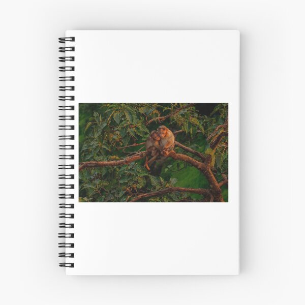 Item preview, _SSK2817 Afraid and Suspicious  designed and sold by Sunil Kapadia.