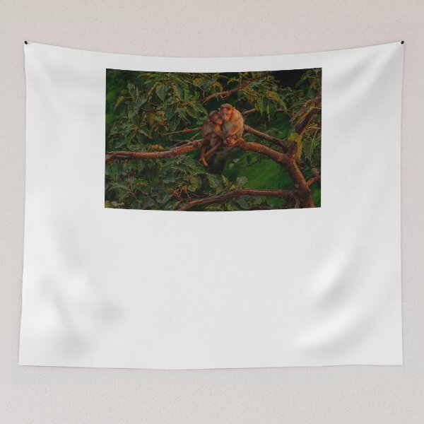 Item preview, _SSK2817 Afraid and Suspicious  designed and sold by Sunil Kapadia.