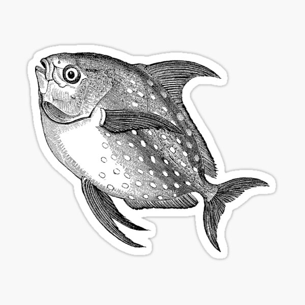 Item preview, Tinfish  designed and sold by Quill-n-Ink.