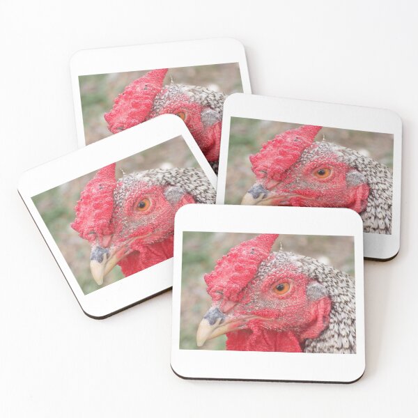 Item preview, A Feathered Friend  designed and sold by TC-Has-Riddles.