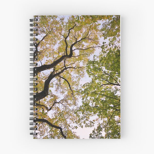 Artikelvorschau, Herbstdämmerung unter den Bäumen entworfen und verkauft von Patrick Morand.