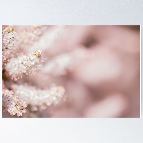 Natural details 53 Poster