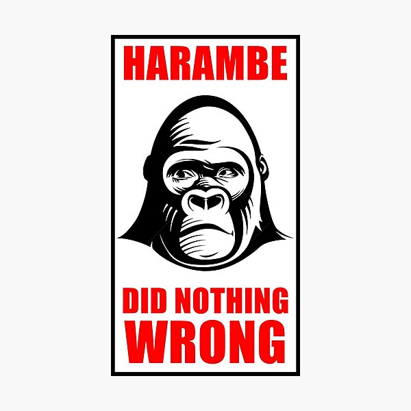 Item preview, Harambe Did Nothing Wrong Shirt designed and sold by LaCaDesigns.