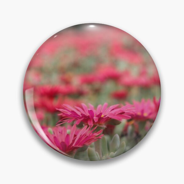 Item preview, Daisies at the WW2 German Cemetery Maleme Crete Greece designed and sold by wtgs.