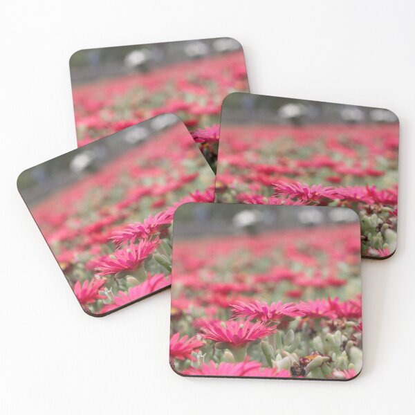 Item preview, Daisies at the WW2 German Cemetery Maleme Crete Greece designed and sold by wtgs.