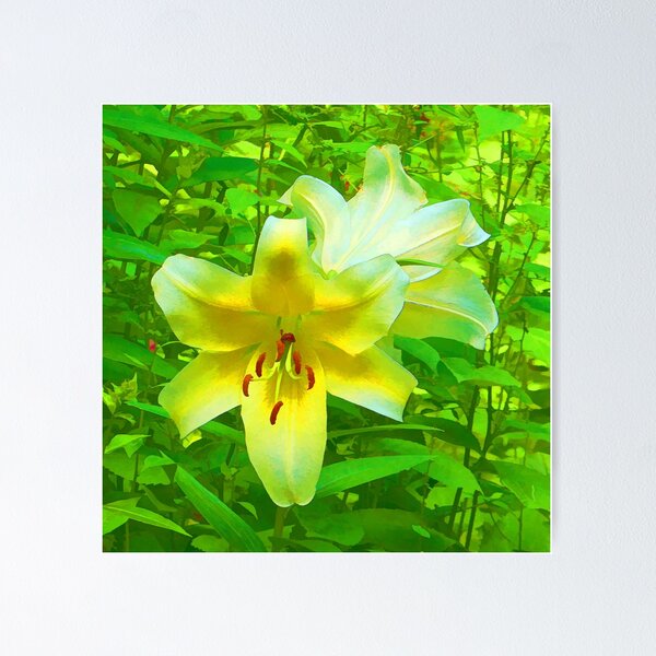 Item preview, rainbowconfetti Day Lily blossom designed and sold by rainbowconfetti.