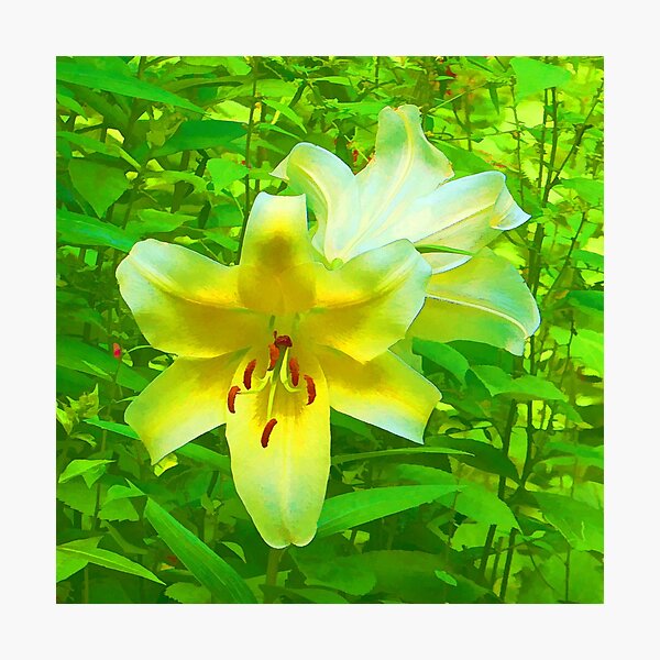 Item preview, rainbowconfetti Day Lily blossom designed and sold by rainbowconfetti.