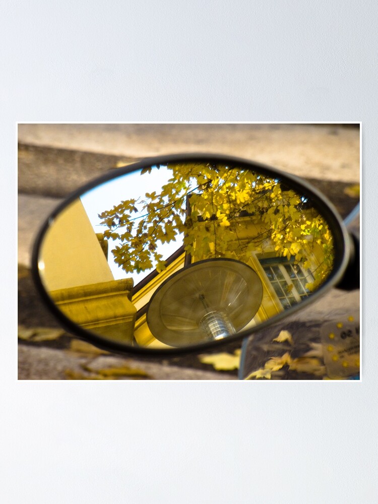 Alternate view of Peeking through the leaves, Bolzano/Bozen, Italy Poster