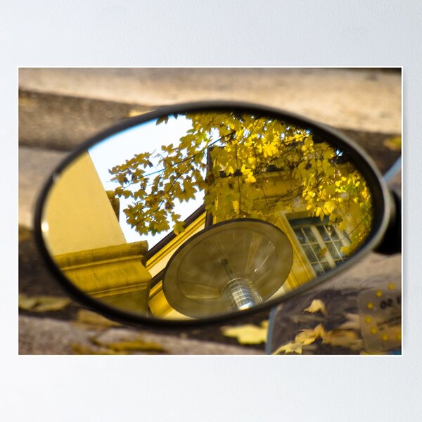 Item preview, Peeking through the leaves, Bolzano/Bozen, Italy designed and sold by L Lee McIntyre.