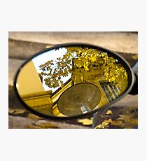 Peeking through the leaves, Bolzano/Bozen, Italy Photographic Print