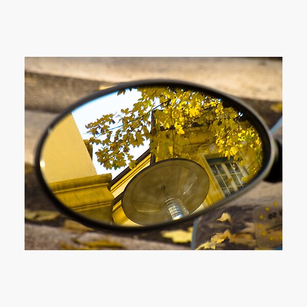 Peeking through the leaves, Bolzano/Bozen, Italy Photographic Print