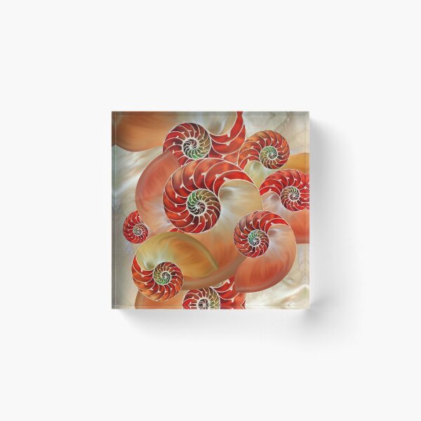 Item preview, Nautilus Shells  designed and sold by k9printart.