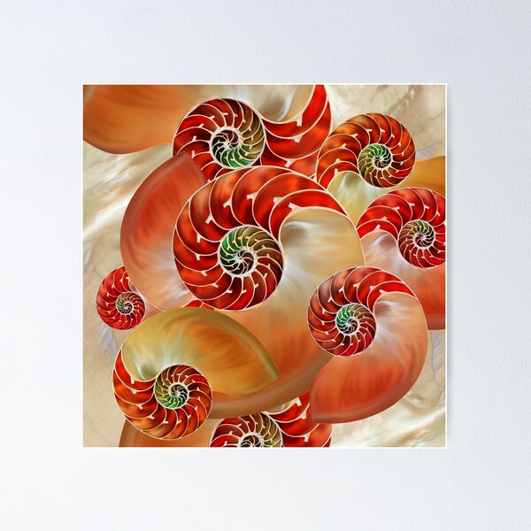 Item preview, Nautilus Shells  designed and sold by k9printart.