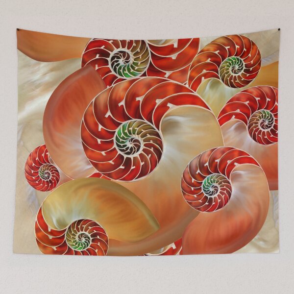 Item preview, Nautilus Shells  designed and sold by k9printart.