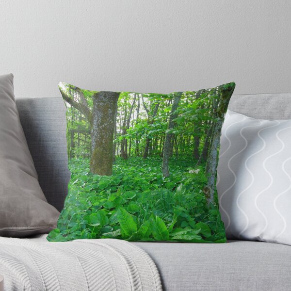 Item preview, Wooded Area - Lews Castle Grounds designed and sold by BlueMoonRose.